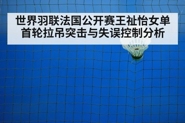 badminton shuttlecock net closeup